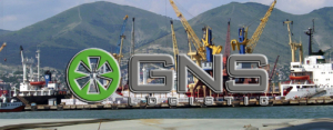 GNS Logistic оказывает услуги портового экспедирования, автомобильной доставки контейнерного груза на склад Клиента, услуги сертификации и страхования груза